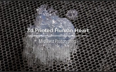 TIME LAPSE + HUMAN HEART + 3D PRINTER